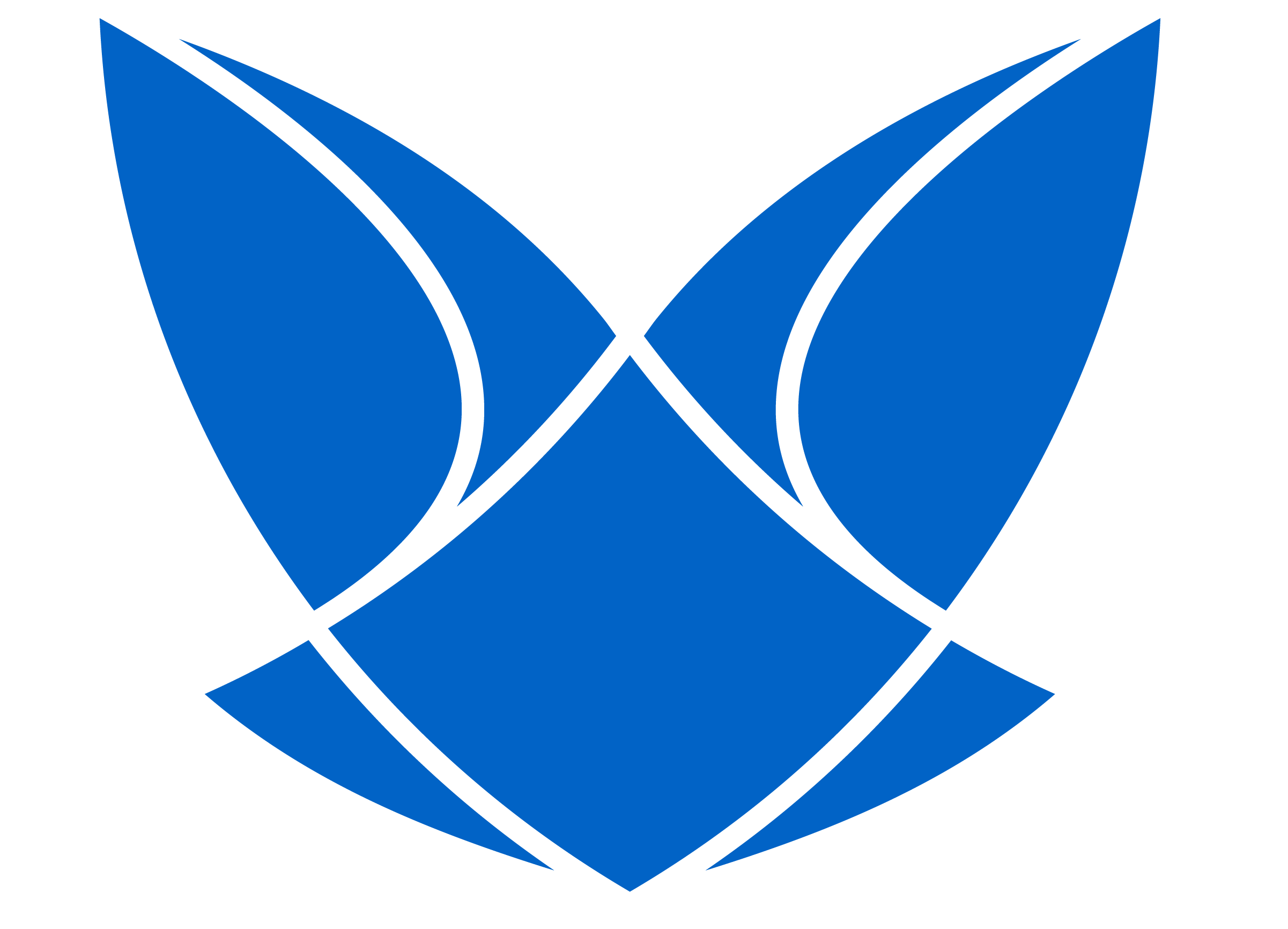 R Solutions Labs Logo
